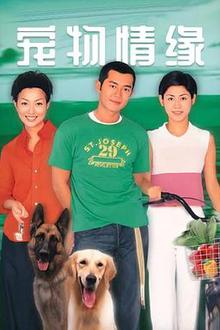 宠物情缘粤语