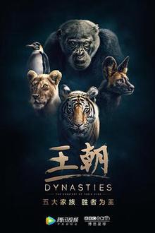 王朝第一季