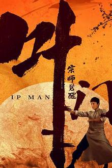 叶问宗师觉醒