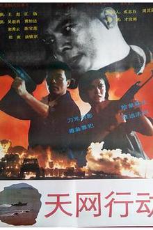 天网行动