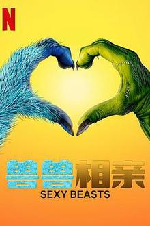 性感野兽第一季