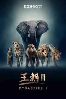 王朝第二季