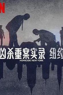凶杀重案实录：纽约