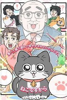 转生成猫的大叔