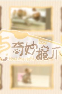 与奇妙握爪