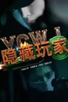 隐藏玩家
