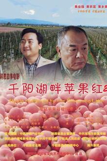 千阳湖畔苹果红2