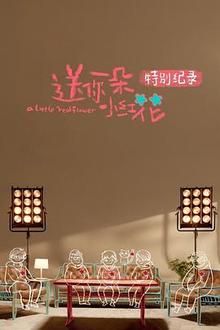 送你一朵小红花》特别纪录