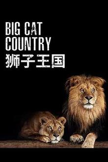 狮子王国