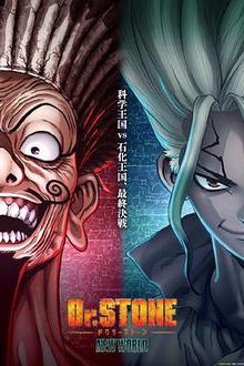 石纪元第三季Part2