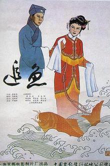 追鱼
